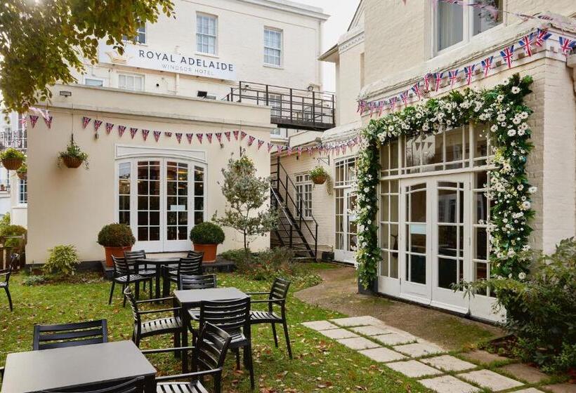 Отель The Royal Adelaide