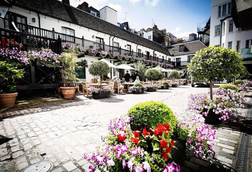 Отель The Stafford  London