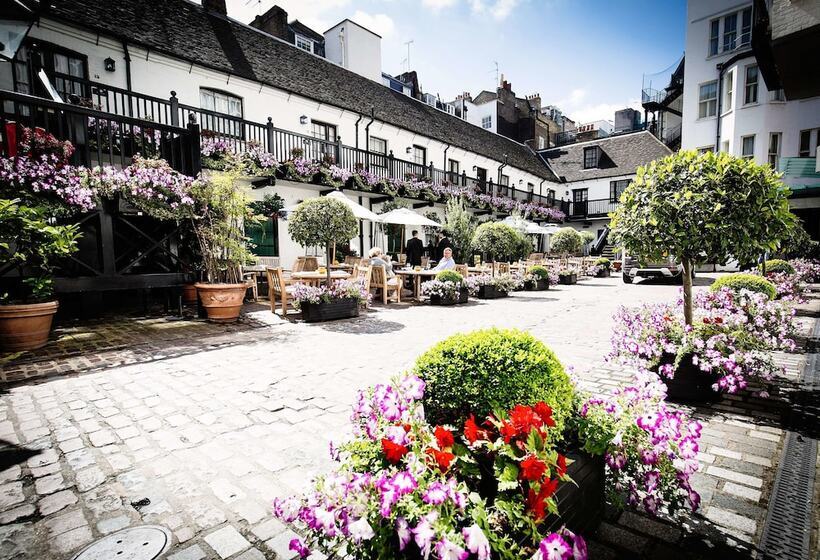 هتل The Stafford  London