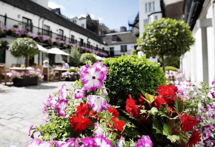 Отель The Stafford  London