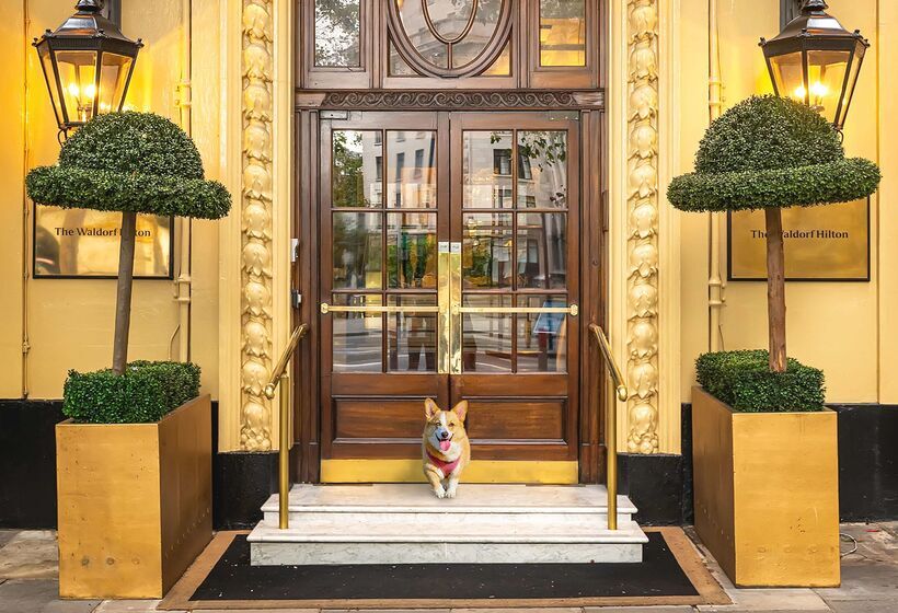 Отель The Waldorf Hilton London