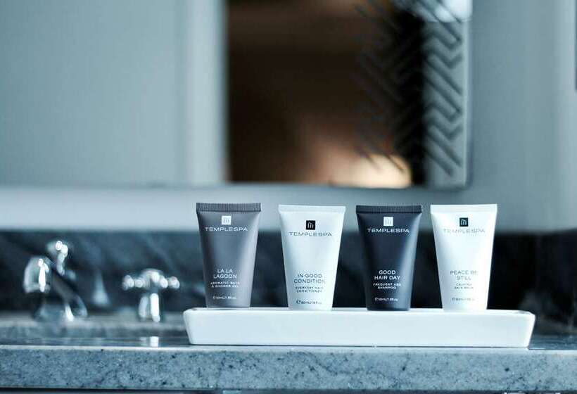 هتل The Waldorf Hilton London