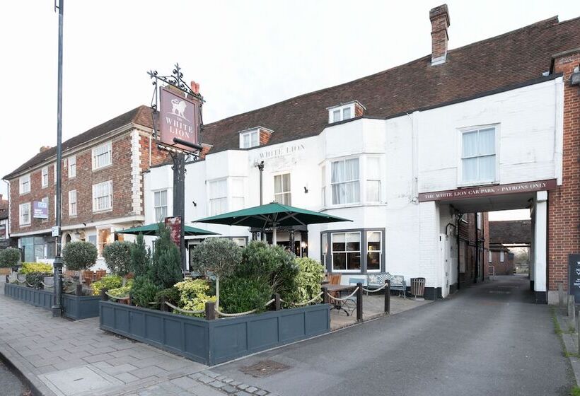 בית מלון כפרי The White Lion