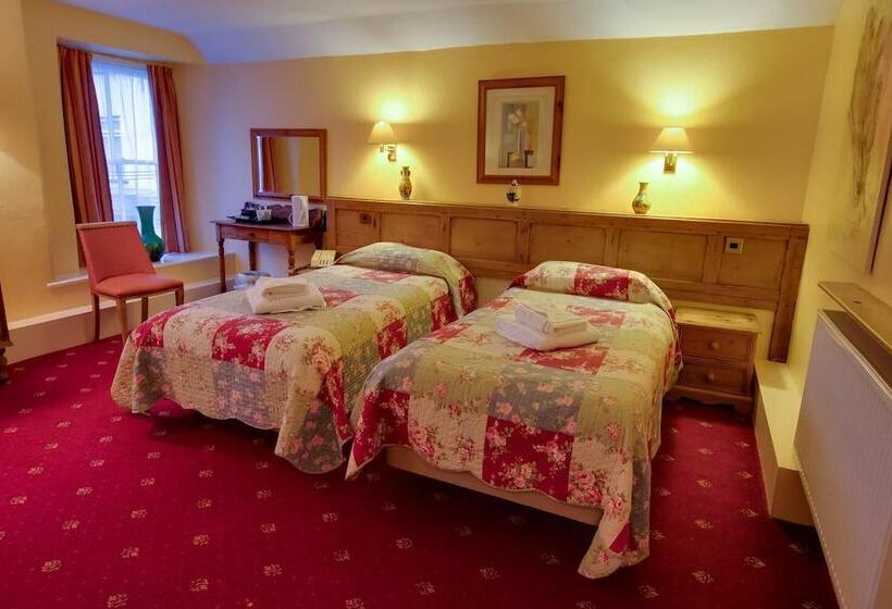 فندق The Wynnstay