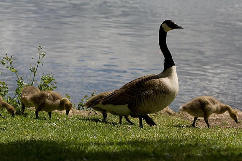 فندق Warren Lodge