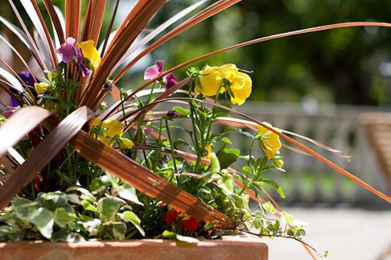 فندق Warren Lodge