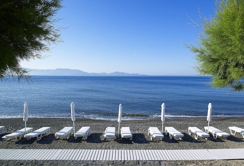 リゾートホテル Dimitra Beach Hotel & Suites
