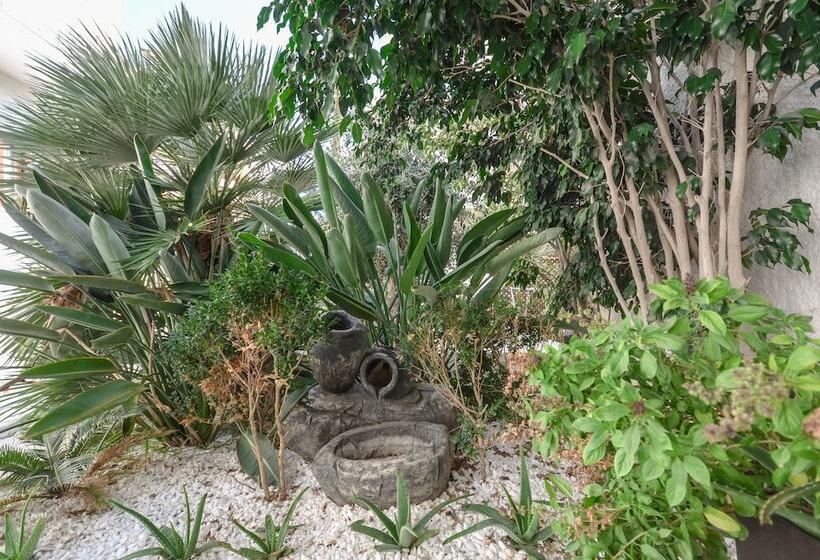 ホテル Aeolis Boutique