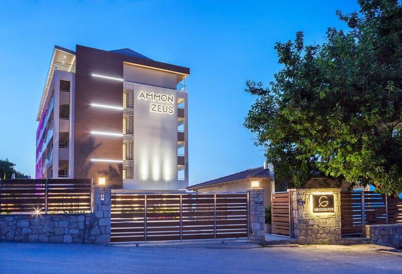 ホテル Ammon Zeus Luxury Beach