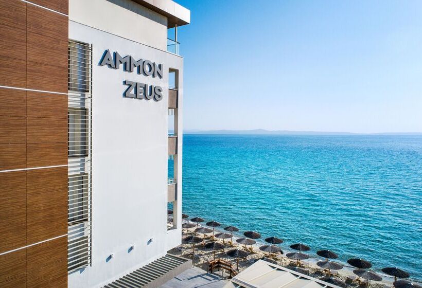 ホテル Ammon Zeus Luxury Beach