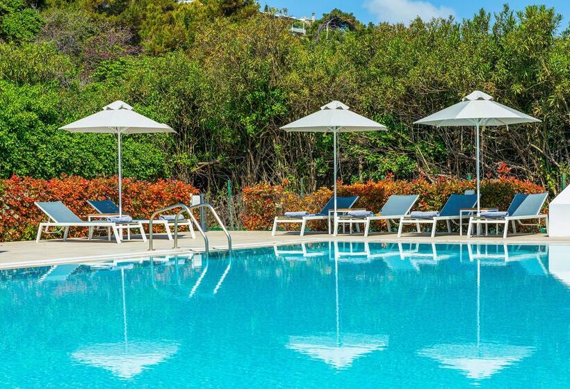 ホテル Ammon Zeus Luxury Beach