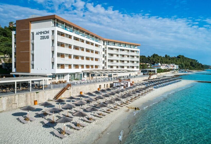 ホテル Ammon Zeus Luxury Beach