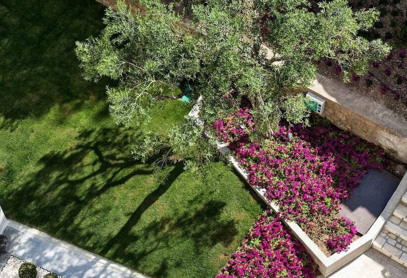 ホテル Ammon Zeus Luxury Beach