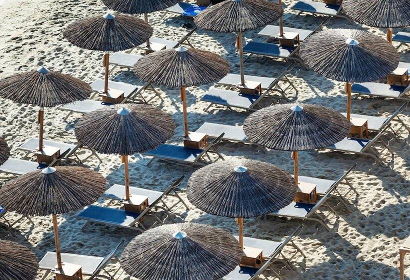 ホテル Ammon Zeus Luxury Beach