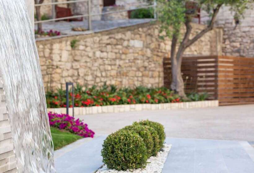 ホテル Ammon Zeus Luxury Beach