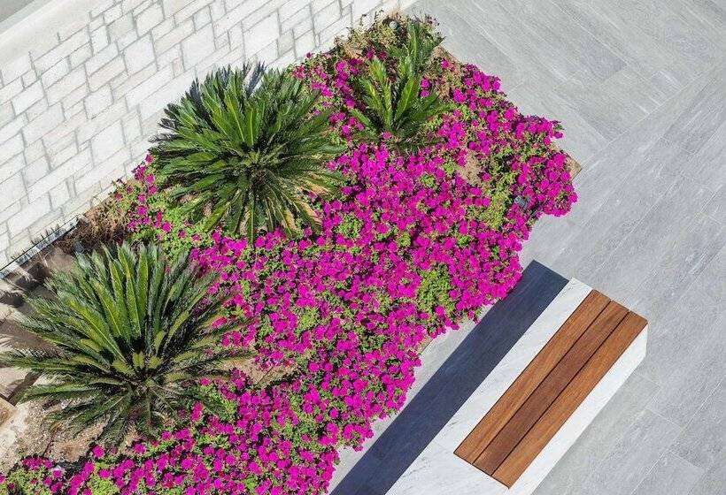 ホテル Ammon Zeus Luxury Beach