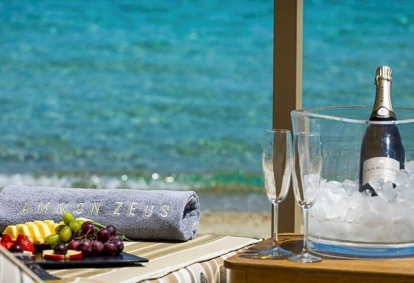 ホテル Ammon Zeus Luxury Beach