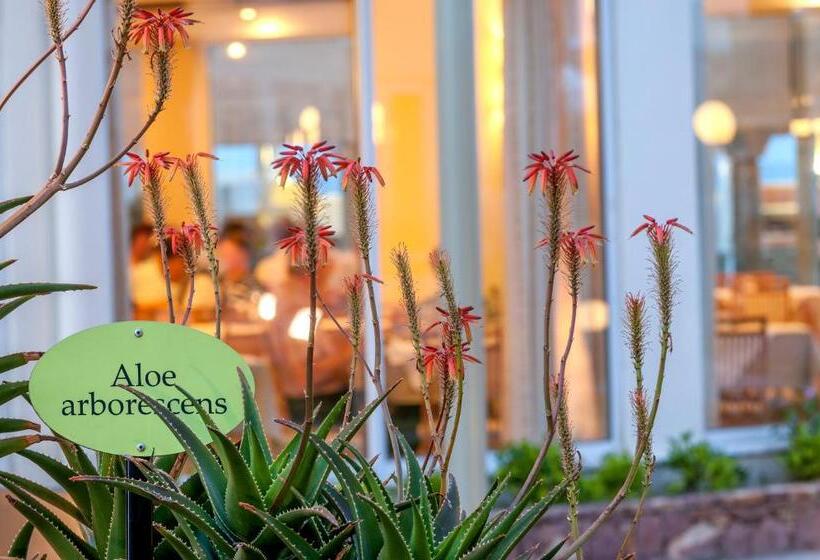 Отель Apollo Beach