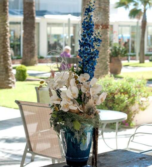 Отель Apollo Beach