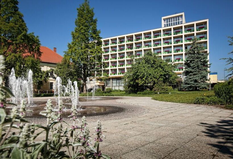 בית מלון כפרי Aranyhomok Business City Wellness