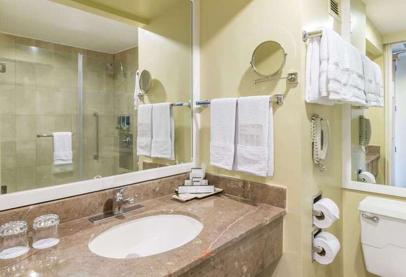 فندق Barcelo Guatemala City