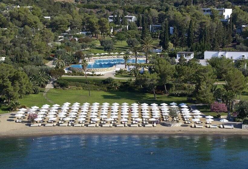 فندق Barceló Hydra Beach