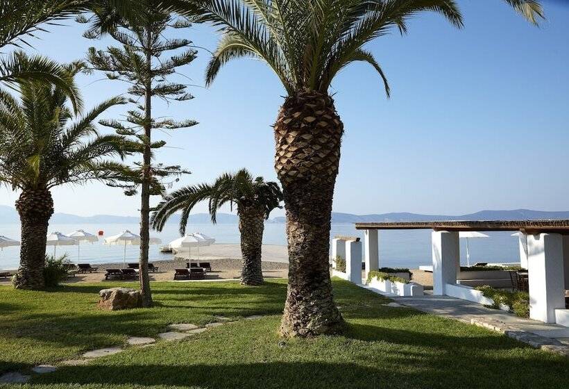 فندق Barceló Hydra Beach