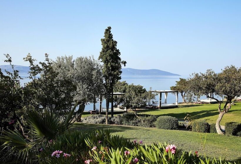 فندق Barceló Hydra Beach