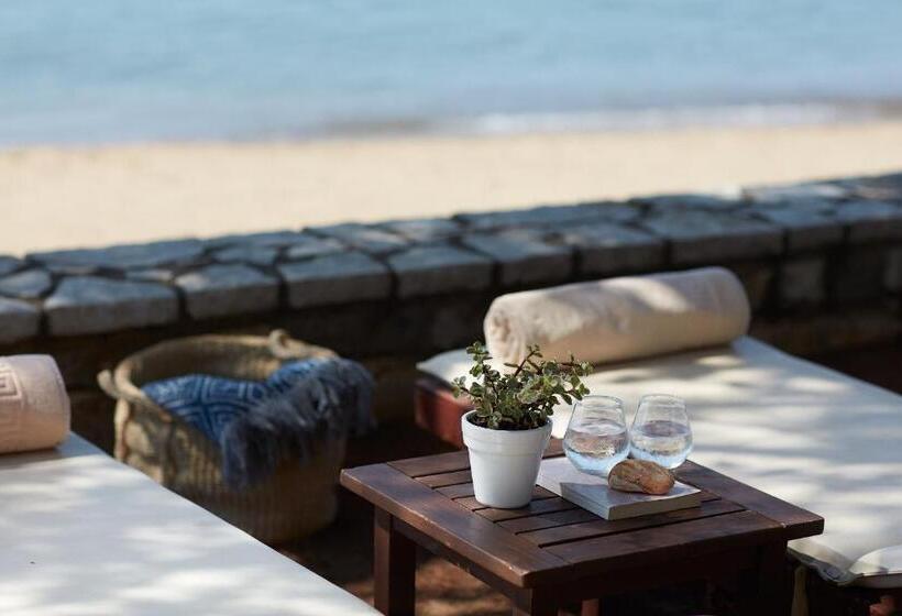 فندق Barceló Hydra Beach