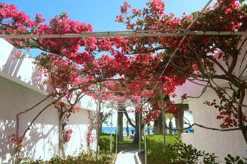 בית מלון כפרי Blue Horizon