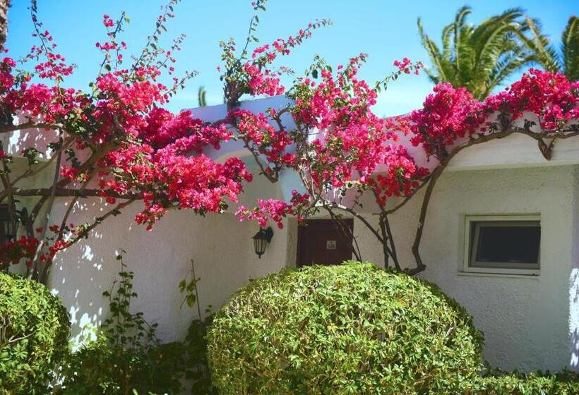 فندق Blue Horizon