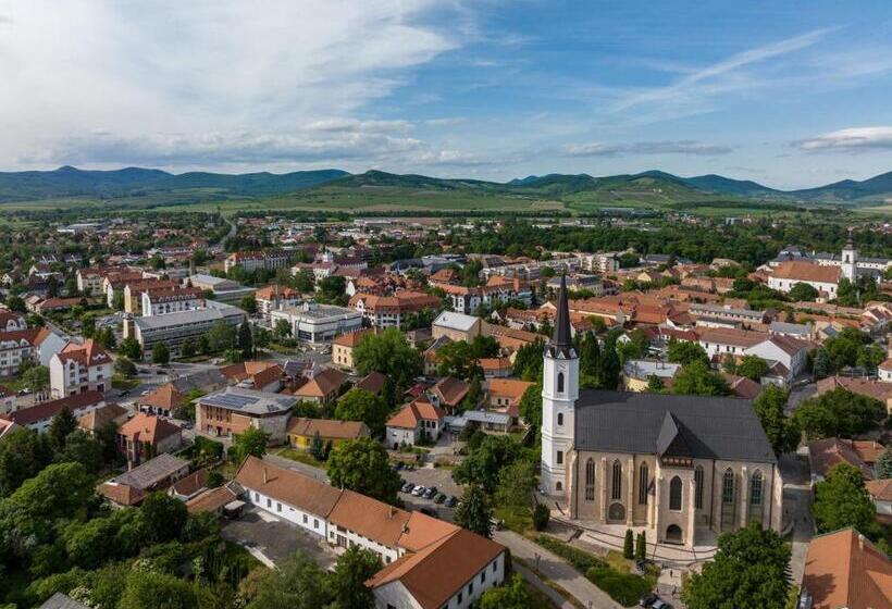 בית מלון כפרי Bodrog Wellness & Elix Spa