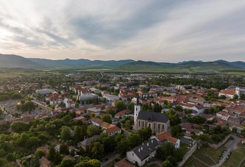 בית מלון כפרי Bodrog Wellness & Elix Spa