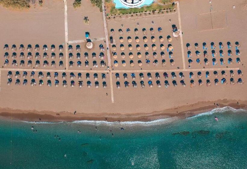 فندق Calypso Beach