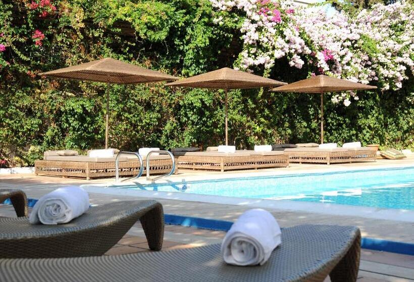 فندق Congo Palace