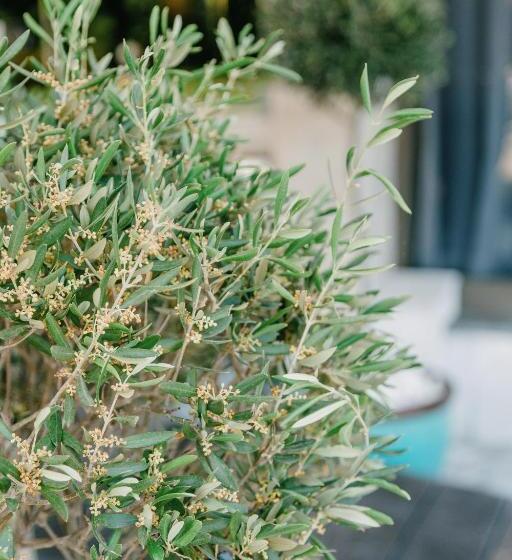 酒店 Corfu Holiday Palace