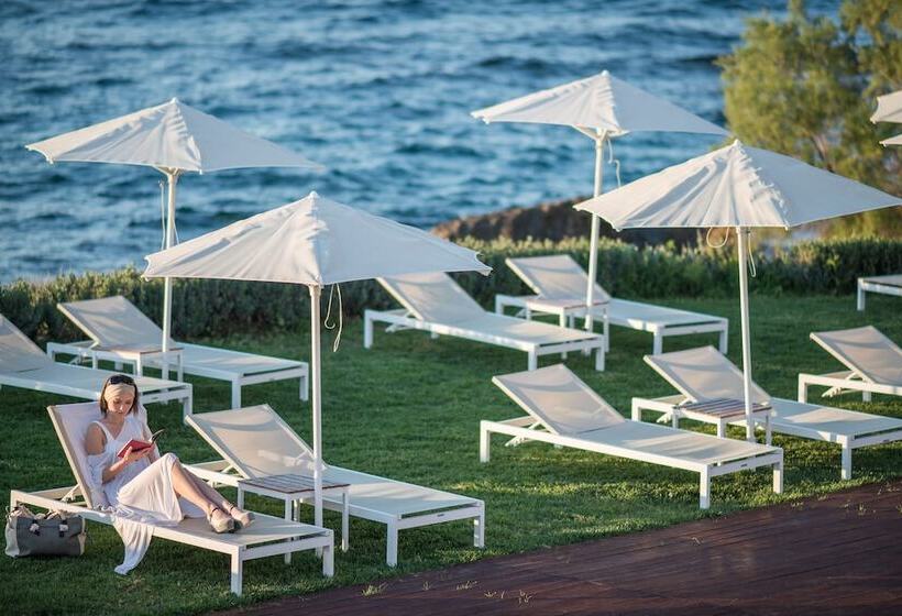 فندق Corinna Mare