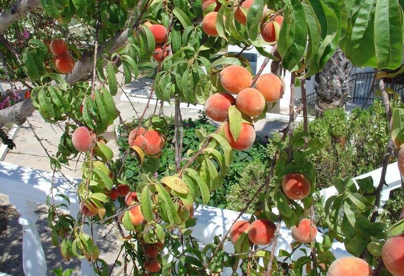 هتل More Meni Cosmopolitan