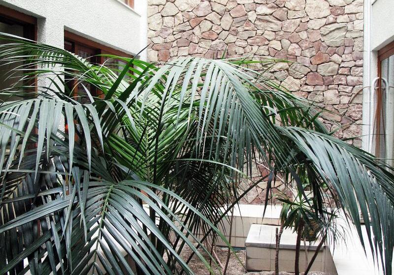 בית מלון כפרי El Greco