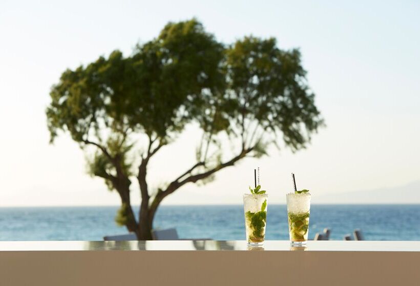 酒店 Electra Palace Rhodes  Premium All Inclusive