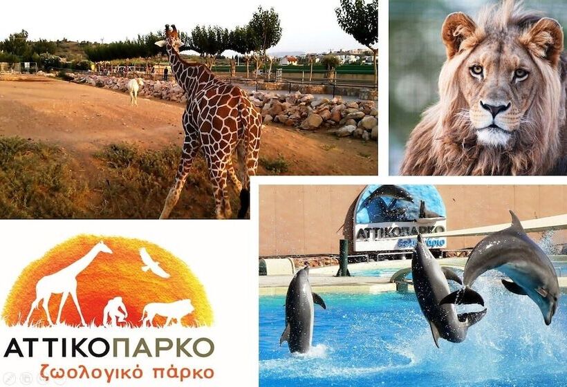 Golden Coast Hotel & Bungalows   All Inclusive