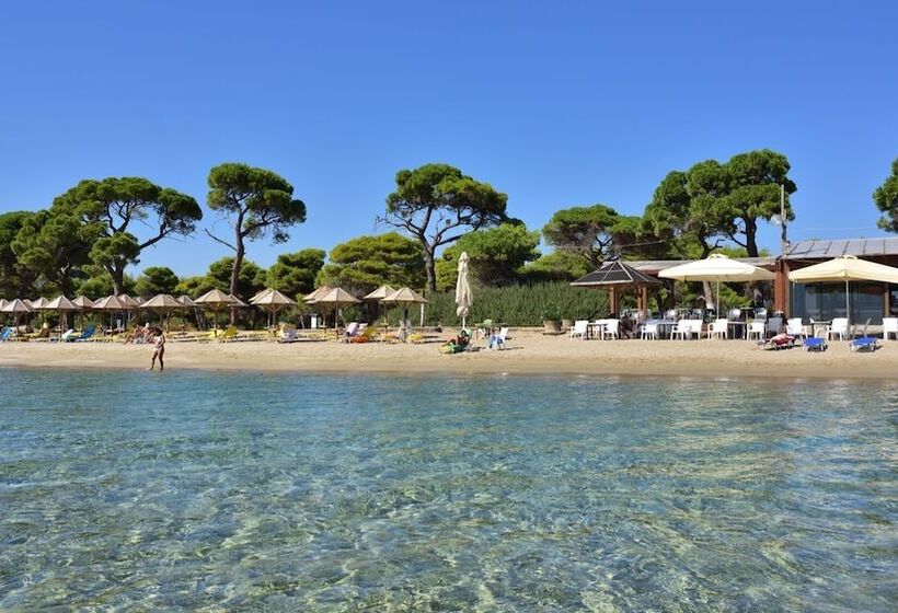 Golden Coast Hotel & Bungalows   All Inclusive