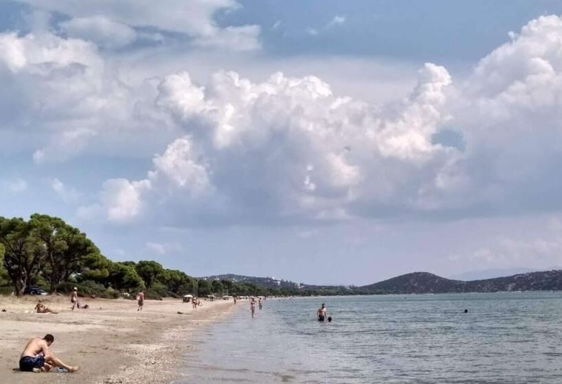 Golden Coast Hotel & Bungalows   All Inclusive