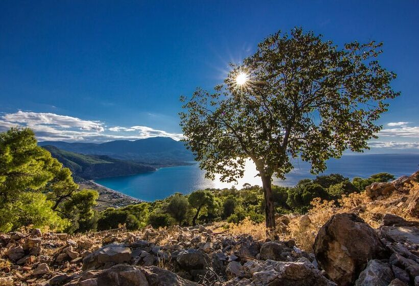 בית מלון כפרי Idillion