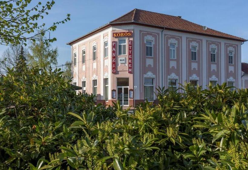 Отель Körös Panzió és étterem