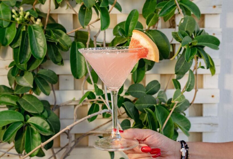 호텔 Lato Boutique