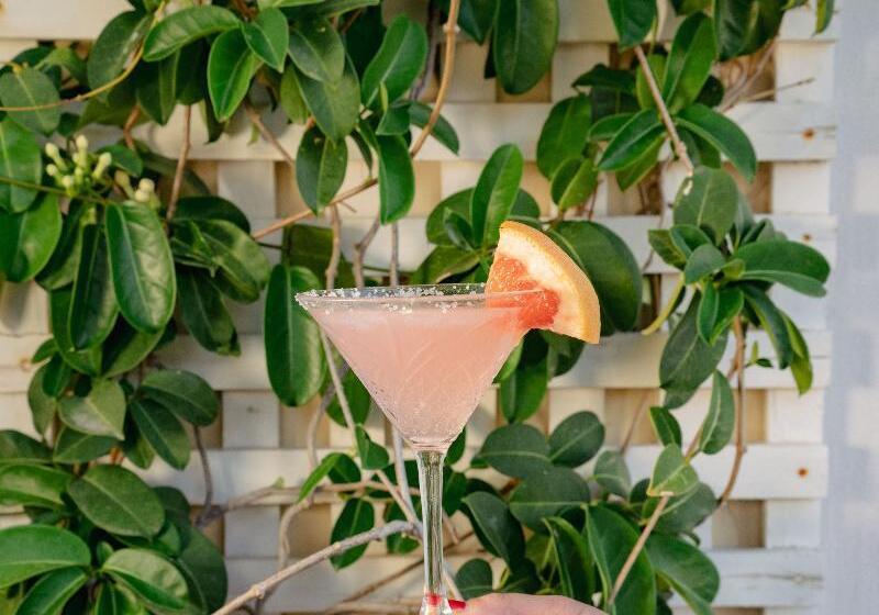 호텔 Lato Boutique