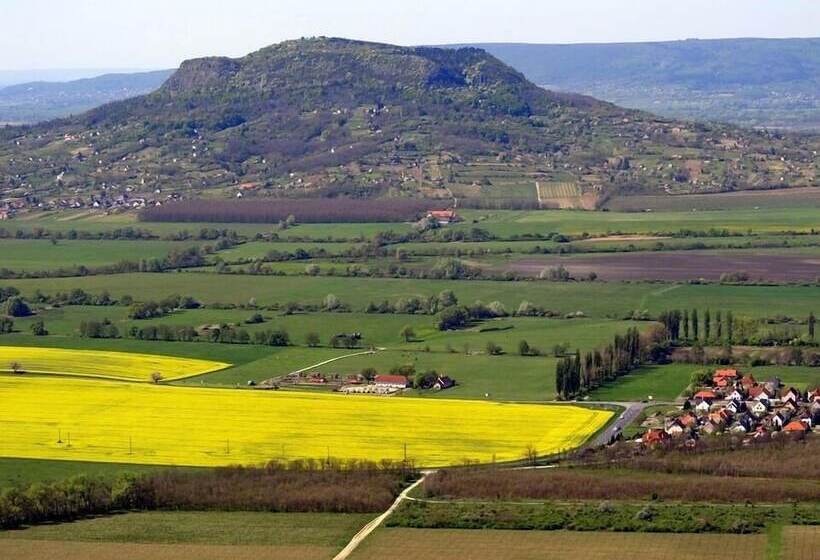 Отель Margaréta