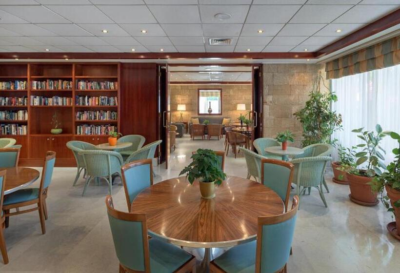 호텔 Mediterranean