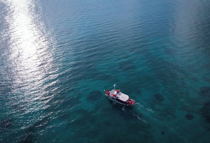 Отель Mitsis Messonghi